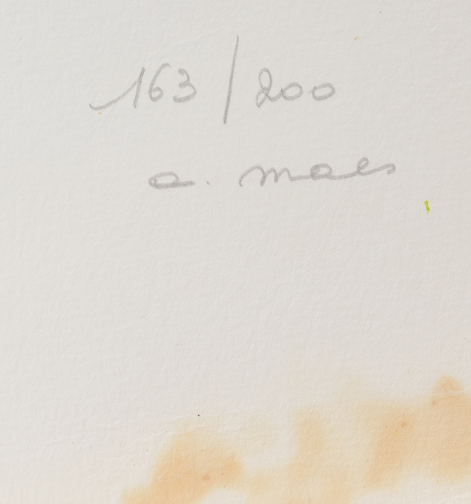 Agnes Maes — Justification and signature of the artist in pencil bottom right