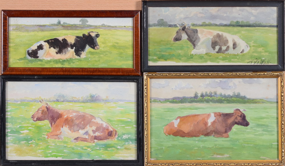 Georges Van de Walle — 4 aquarelles encadrées, des portraits de vaches