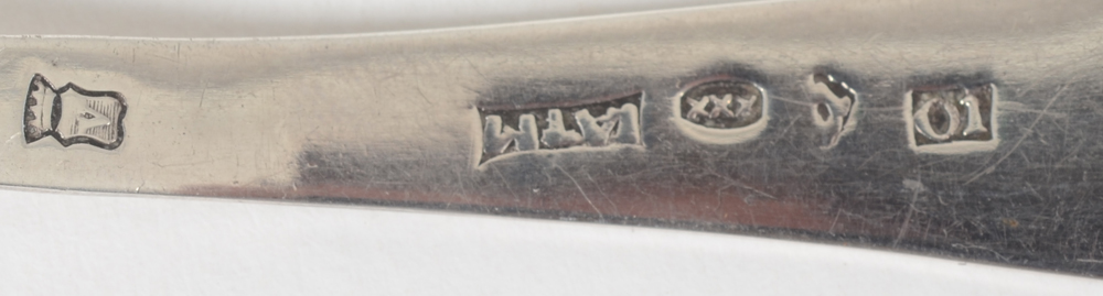 Johannes Anthony Timmermans — Marks on the insice of the stem