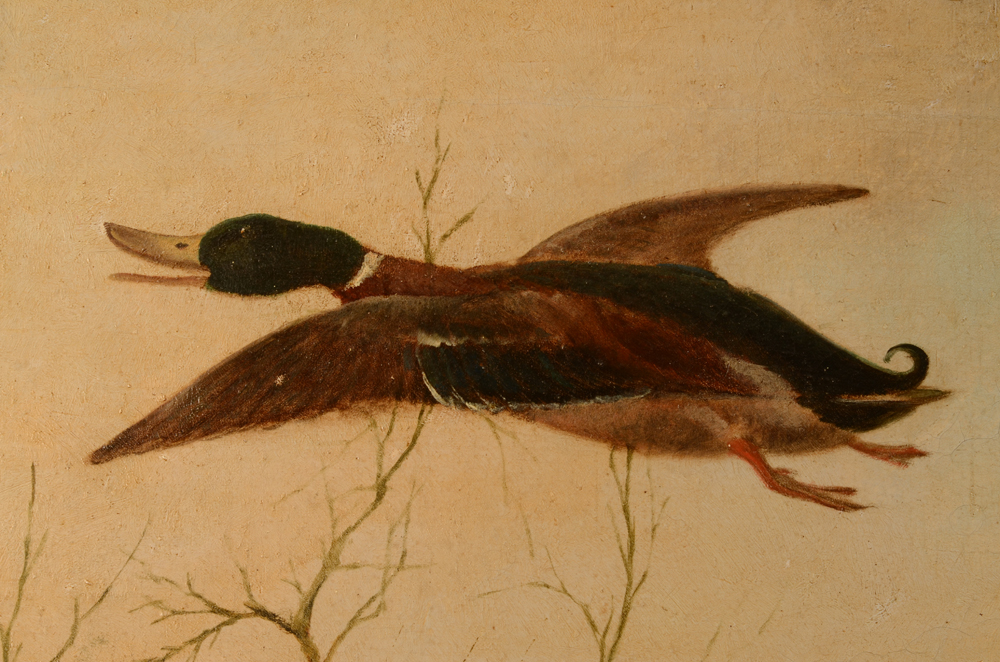 Adolphe Cnops Fox and Duck 1868 — Detail of the duck