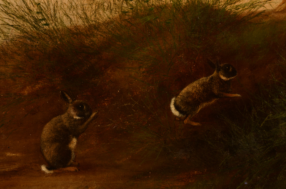Adolphe Cnops — The small rabbits
