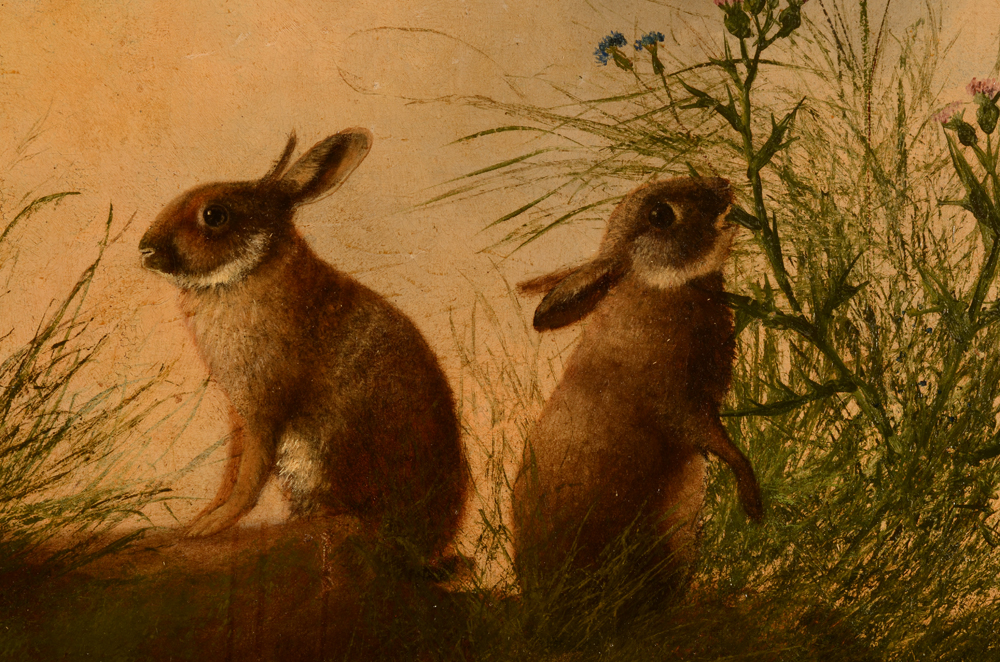 Adolphe Cnops — the older rabbits