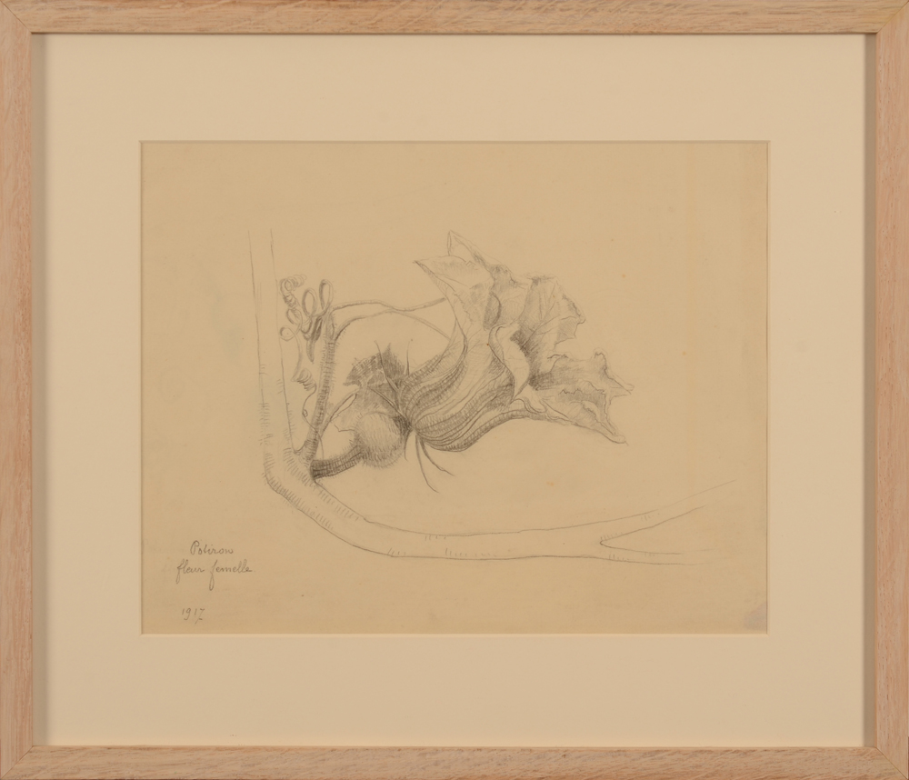 Anna de Weert — the drawing in a new frame