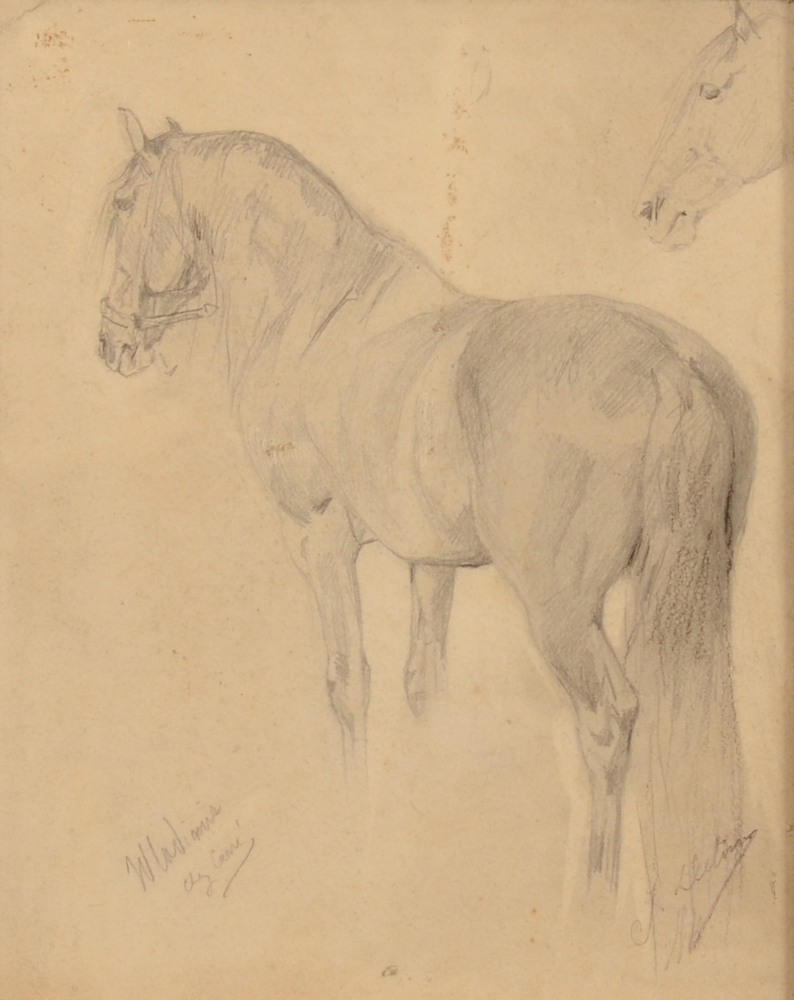 Jean Delvin — Beau dessin détaillé d'un cheval, crayon sur papier