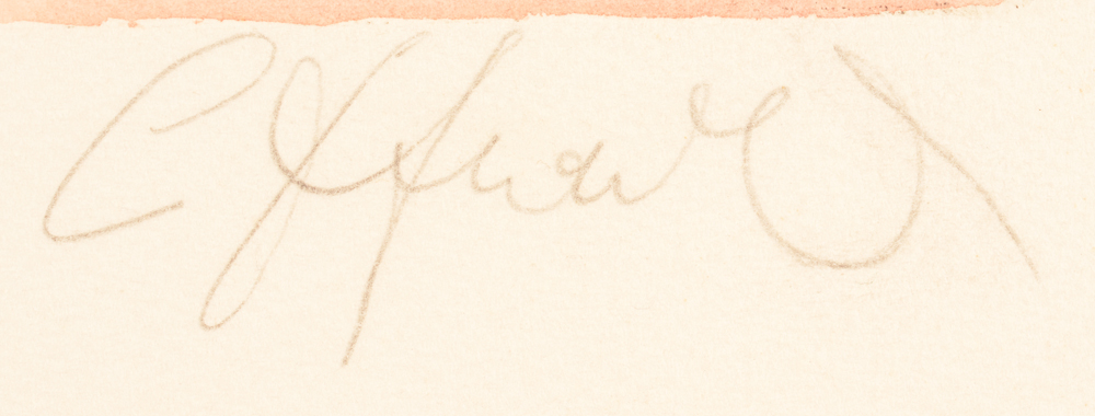 Camille D'Havé — Signature of the artist, bottom right