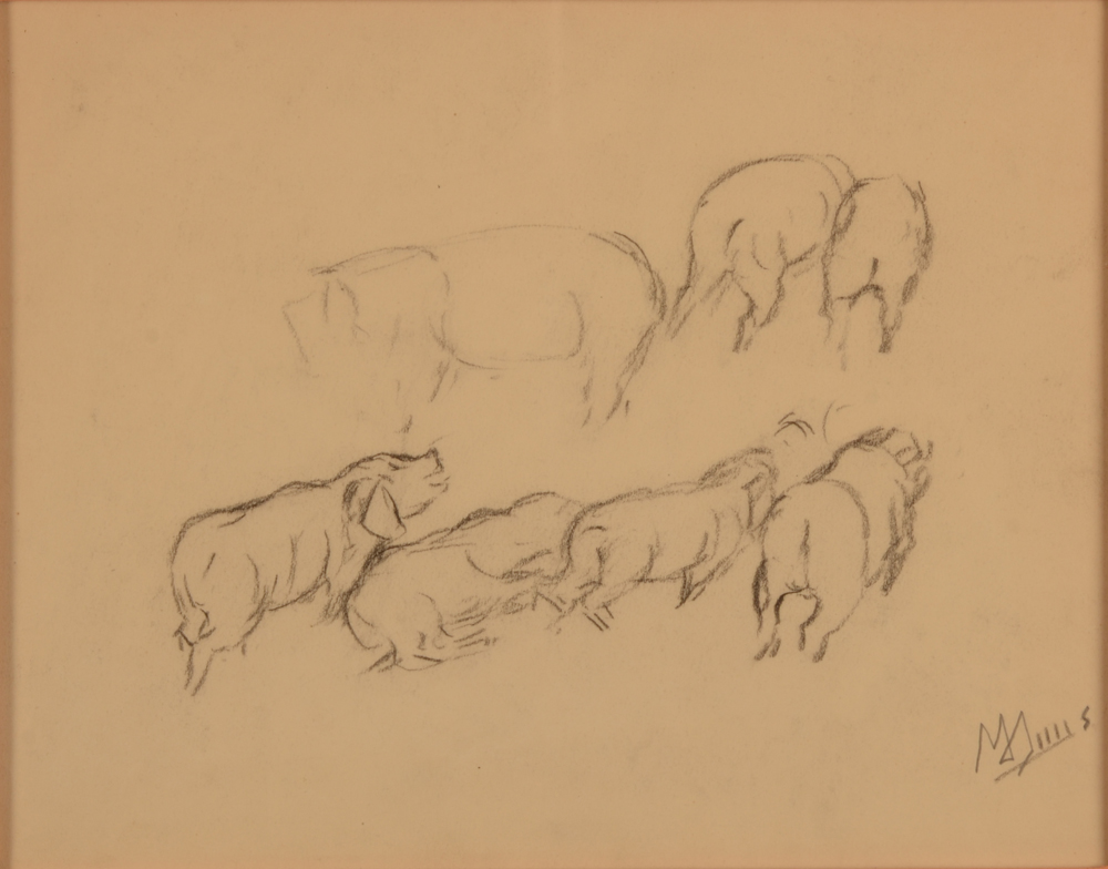 Modest Huys — dessin d'étude d'un groupe de porcs, crayon sur papier, signé
