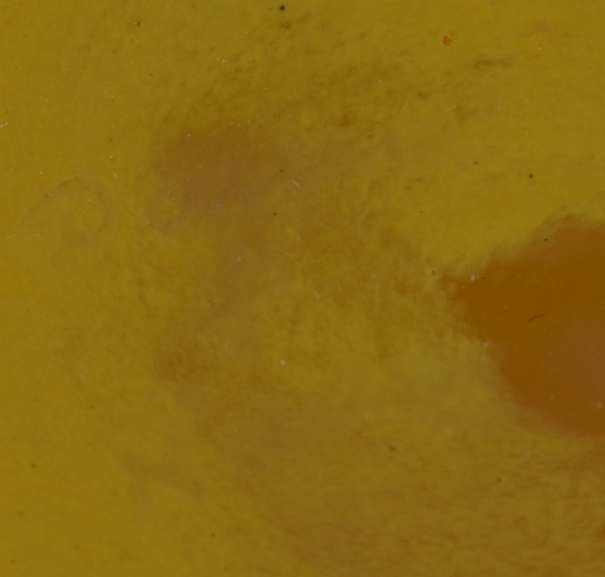 Daum Nancy Vase — Signature on the bottom, perfectly visible live