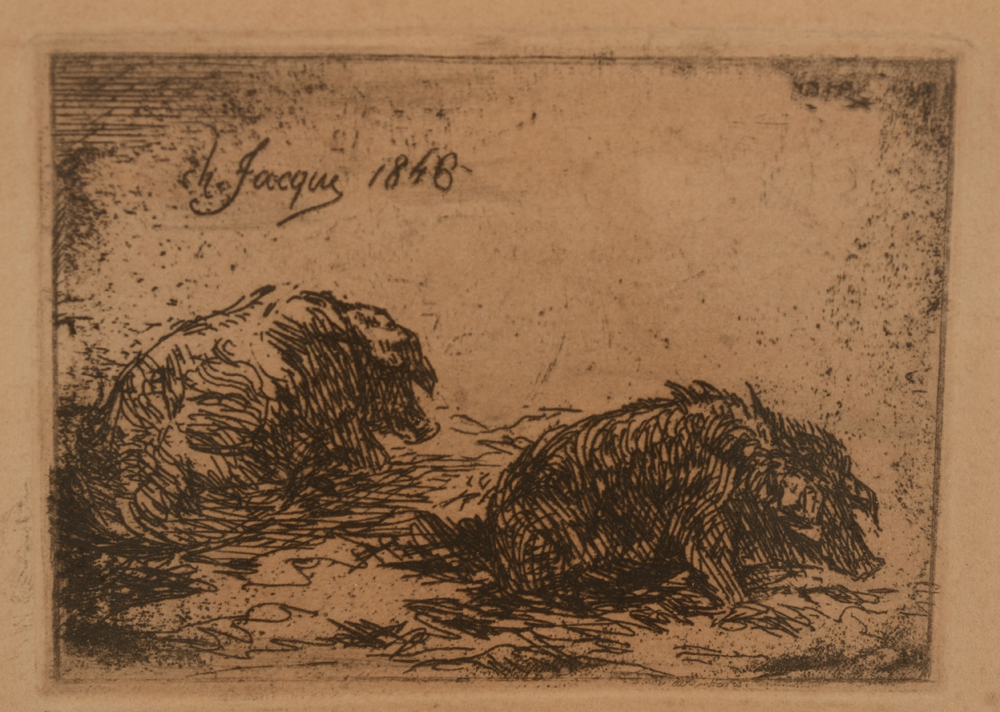 Charles Emile Jacque  — Porcs couchés, eau-forte amusante signée et datée dans la planche