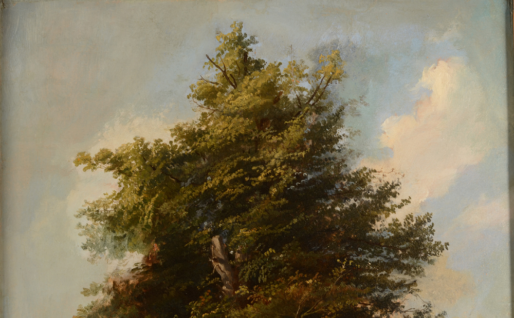François Lamorinière Tree — Detail of the sky