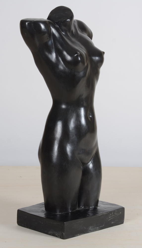 ?Jan Anteunis — View from the left