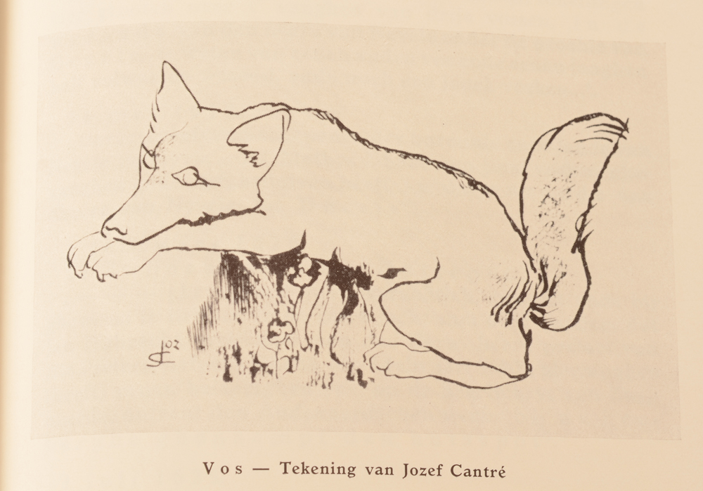 Hugo Van den Abeele — One of the illustrations, curiously of a fox?