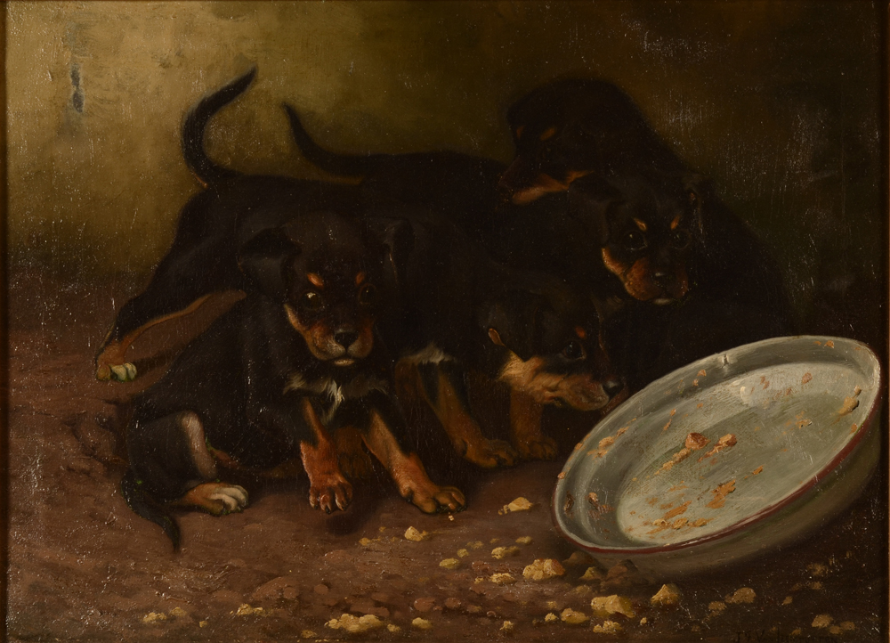 Jef Van Leemputten — Les chiens attendant à manger, huile sur toile signée.