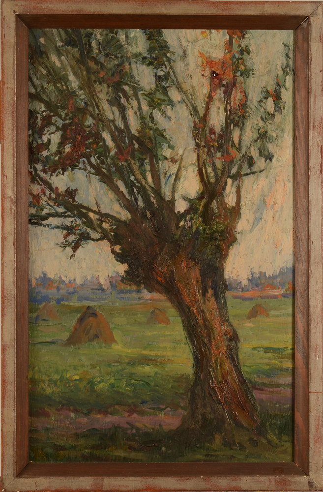 Charles Warie Pollard Willow — Portrait of a tree, in an art deco frame