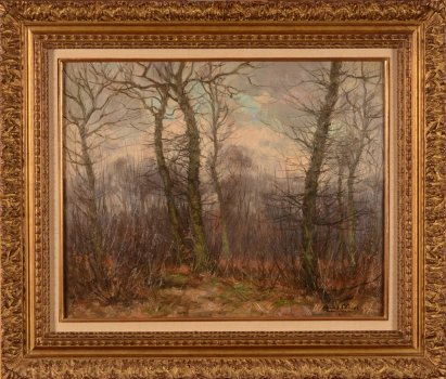 Louis Clesse forest view