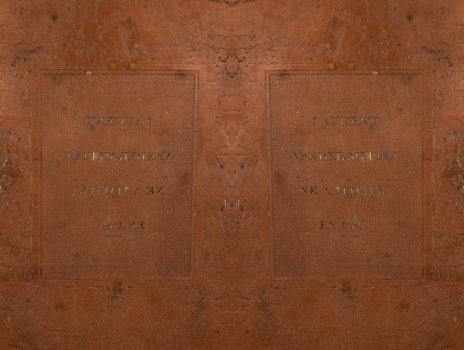 Copper printing plate Laurent Van der Meulen