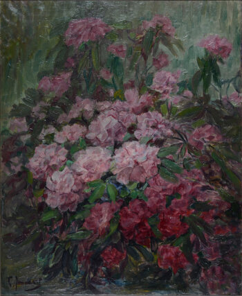 Clémence or Clementine Jonnaert Rhododendrons