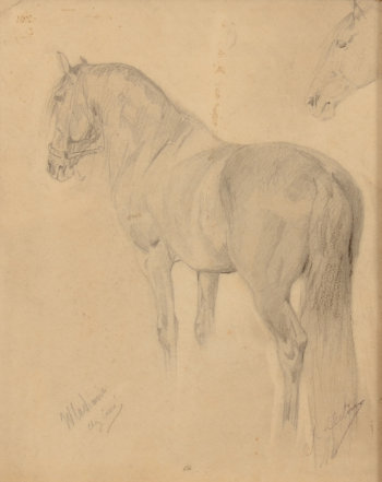Jean Delvin study drawing of a horse