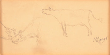 Modest Huys study drawing of cows