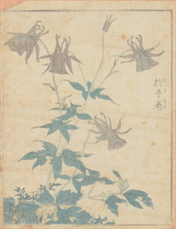 Unknown Japanese artist Flowers woodcut