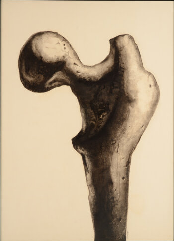 Octave Landuyt Bone 1960