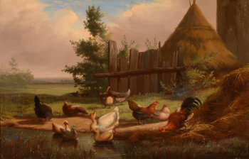 J.L. Van Leemputten poultry near a pond